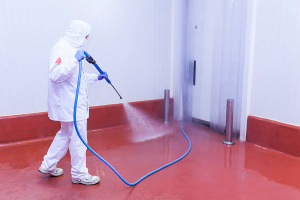 Professional Pressure Washing Services in Chuluota, FL
